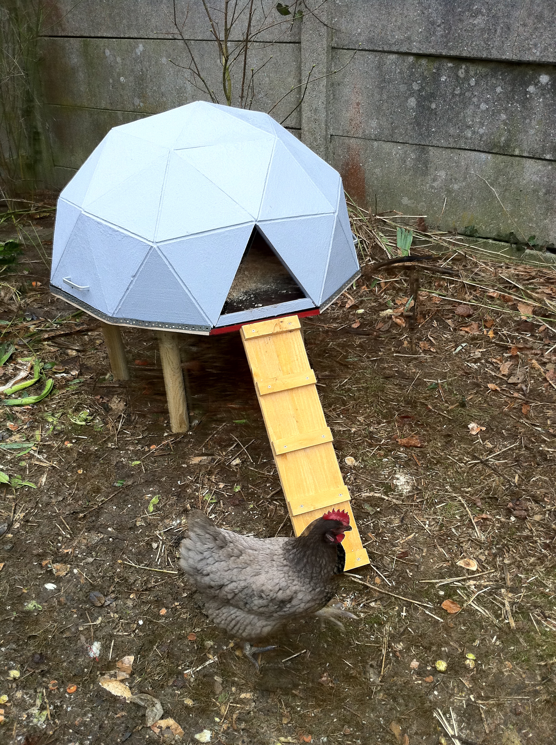 ... as such, I created my own nonconventional geodesic dome chicken house